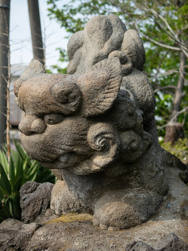 茅ヶ崎八雲神社の狛犬さん 吽