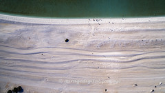 Shark Bay_Shell Beach_0817