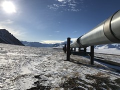 Anglų lietuvių žodynas. Žodis trans-alaska pipeline reiškia Trans-alaska dujotiekis lietuviškai.
