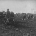 Digging up potatoes, Moose Jaw, Saskatchewan / Récolte de pommes de terre, Moose Jaw (Saskatchewan)