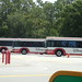Disney Transportation Buses