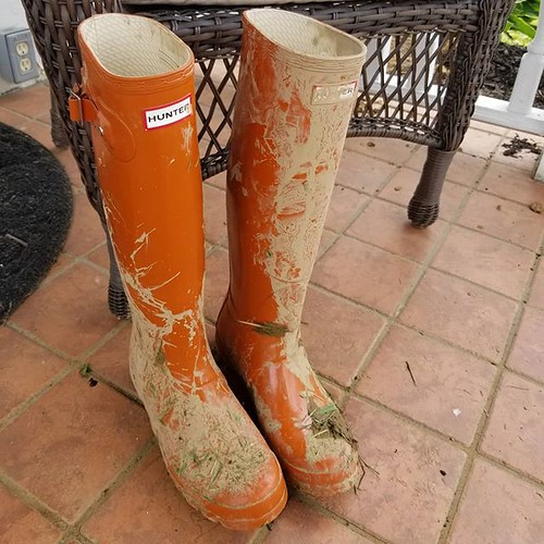 muddy hunter wellies