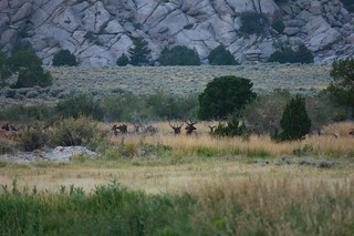 Wyoming Elk Hunt and Mule Deer Hunt 22