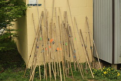 Camp fishing poles