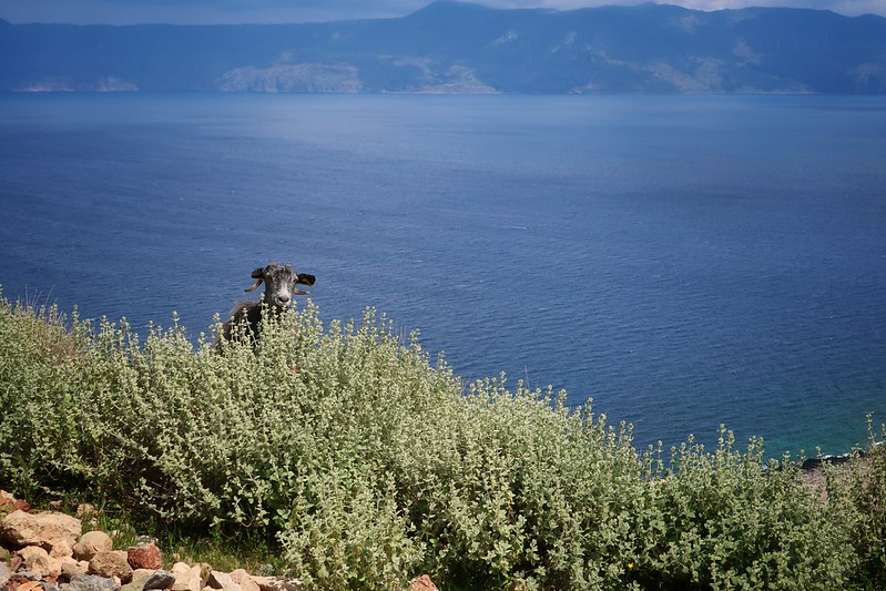 Crete Greece blog 1