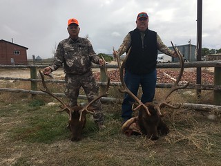 Wyoming Elk Hunt and Mule Deer Hunt 15