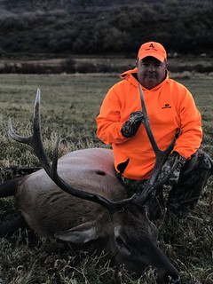 Colorado Elk Hunt and Mule Deer Hunt - Meeker 11