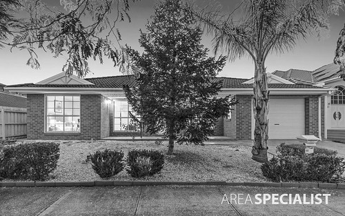 11 Spinifex Street, Cairnlea VIC 3023