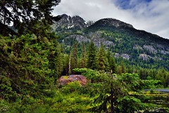 Views of McGregor Mountain from Howard Lake (Coon Lake, North Cascades National Park Service Complex)