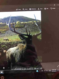 Colorado Elk Hunt and Mule Deer Hunt - Meeker 23