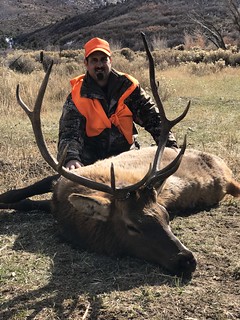 Colorado Elk Hunt and Mule Deer Hunt - Meeker 12