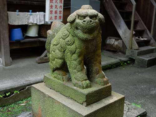 横須賀諏訪神社の狛犬さん 吽