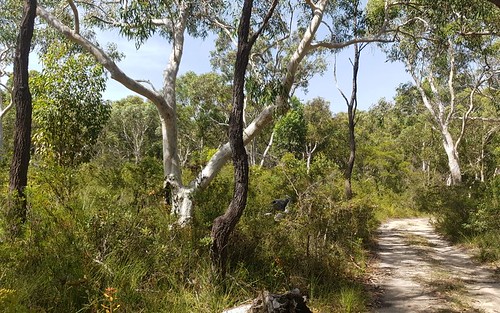 30 Karakunba Road, Wyee NSW