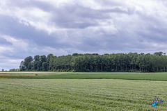 2019 - randonnée - Leuze-en-Hainaut