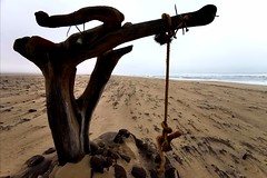 Some macabre Skeleton Coast art?