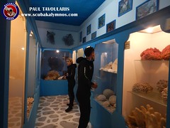 Sea World museum visit Kalymnos • <a style="font-size:0.8em;" href="http://www.flickr.com/photos/150652762@N02/47984928363/" target="_blank">View on Flickr</a>