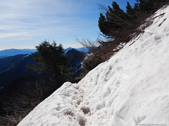 Cormano Ursus Extreme Trail