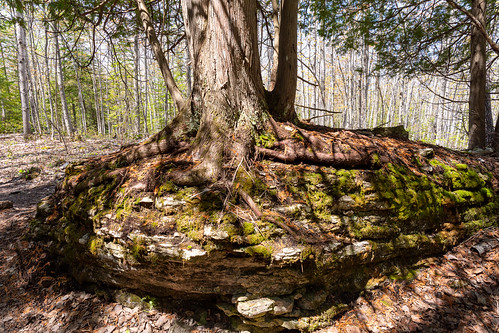 Manitoulin Island (34 of 125)