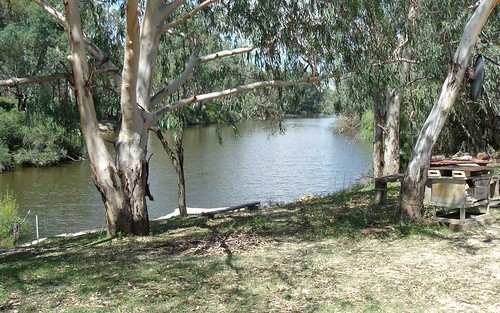 2830 Tarwoona Rd, Camp Creek NSW 4385