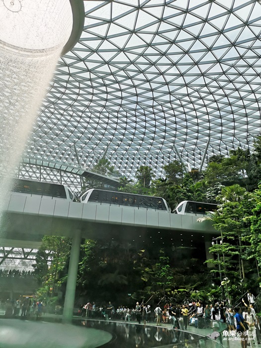 【新加坡】世界最大室內瀑布│樟宜機場星耀樟宜Jewel Changi @魚樂分享誌