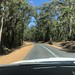 Driving on the South Western Highway, south of Manjimup