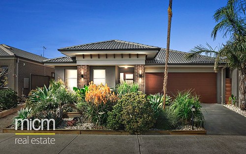 53 Regal Road, Point Cook VIC 3030