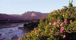 Le paradis marocain avec drogue et vallée des roses au Maroc
