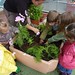 Photo 3 - Atelier jardinage à la crèche familiale