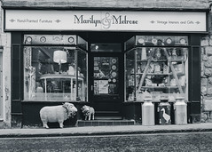 Marilyn and Melrose, Alnwick