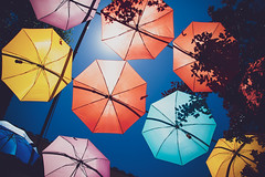 umbrellas [Day 3811}