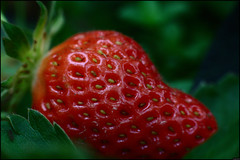 Strawberry - 160/365