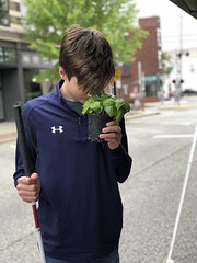 BELL student smelling a basil plant at farmers market • <a style="font-size:0.8em;" href="http://www.flickr.com/photos/29389111@N07/48062158348/" target="_blank">View on Flickr</a>