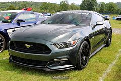 American Muscle Mustang Show 2019_160