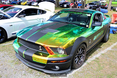 American Muscle Mustang Show 2019_149