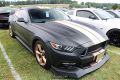 American Muscle Mustang Show 2019_138