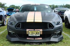 American Muscle Mustang Show 2019_137