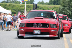 American Muscle Mustang Show 2019_060