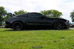 American Muscle Mustang Show 2019_165