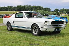American Muscle Mustang Show 2019_044