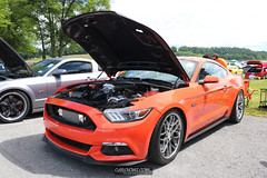 American Muscle Mustang Show 2019_039