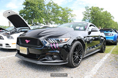 American Muscle Mustang Show 2019_032