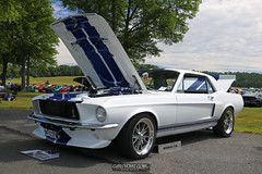 American Muscle Mustang Show 2019_020