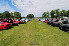 American Muscle Mustang Show 2019_189