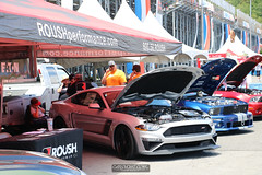 American Muscle Mustang Show 2019_095