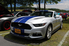 American Muscle Mustang Show 2019_051