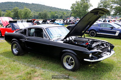 American Muscle Mustang Show 2019_046