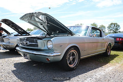 American Muscle Mustang Show 2019_041