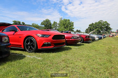 American Muscle Mustang Show 2019_187