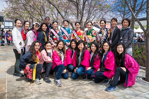 2019 Northern California Cherry Blossom Festival
