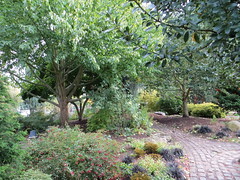 Walking Trails inside a Beautiful Garden in Seattle